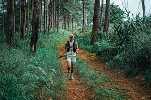 BIB: 
                            <button type="button" onclick="openModal(25688736)" class="btn btn-primary btn-sm float-right btn-popup" data-toggle="modal" data-target=".modal-high-quality">
                        <i class="fas fa-shopping-cart"></i> Add to Cart
                    </button>
                                            <button type="button" onclick="isThisMe(25688736, true)" class="btn btn-success btn-sm float-right btn-popup btn-isme hidden" data-toggle="tooltip" data-placement="bottom" title="นี่คือรูปของคุณใช่ไหม คลิกที่นี่เพื่อเอาเข้าอัลบั้ม">
                        <i class="fas fa-plus"></i> Add to album
                    </button>
                    <button type="button" onclick="isThisMe(25688736, false)" class="btn btn-warning btn-sm float-right btn-popup btn-isnotme hidden">
                        <i class="fas fa-ban"></i> Remove from album
                    </button>